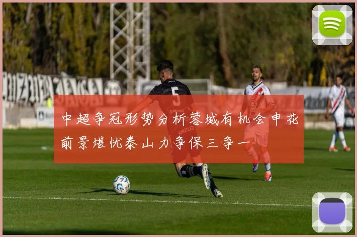中超争冠形势分析蓉城有机会申花前景堪忧泰山力争保三争一